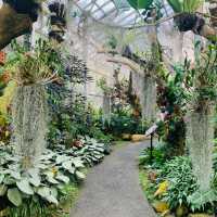 【インドネシア】壮大な植物園　“Kebun Raya Bogor”