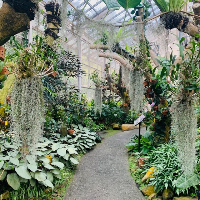 【インドネシア】壮大な植物園　“Kebun Raya Bogor”