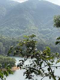 🍂【城門畔塘徑】：秋天必去！讓你沉浸於大自然中的絕佳勝地！
