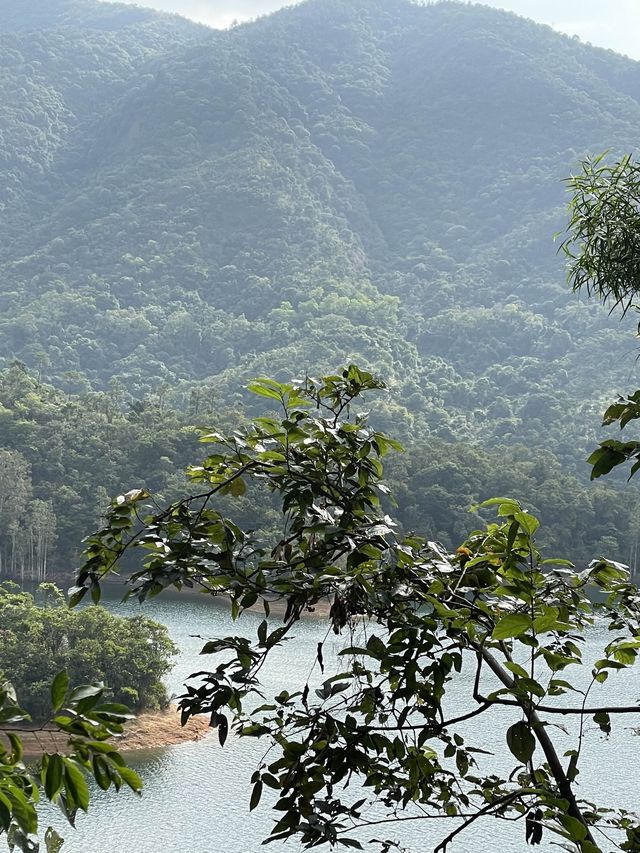 🍂【城門畔塘徑】：秋天必去！讓你沉浸於大自然中的絕佳勝地！