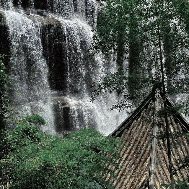 🌲🏞️ 白神山地～沐浴在溪流瀑布的清涼中！💦🌄🚶