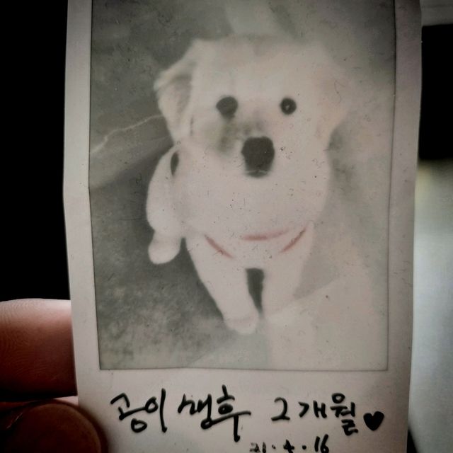낭만 찾는 게스트하우스 🏠 <공감>