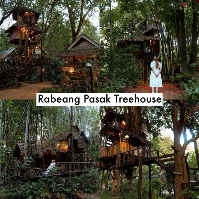💚🌳 แพลนเที่ยวเชียงใหม่กับ 19 พิกัดเช็คอินสุดฮิต