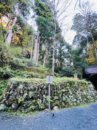【京都府/貴船神社（奥宮）】龍穴のパワー渦巻く！