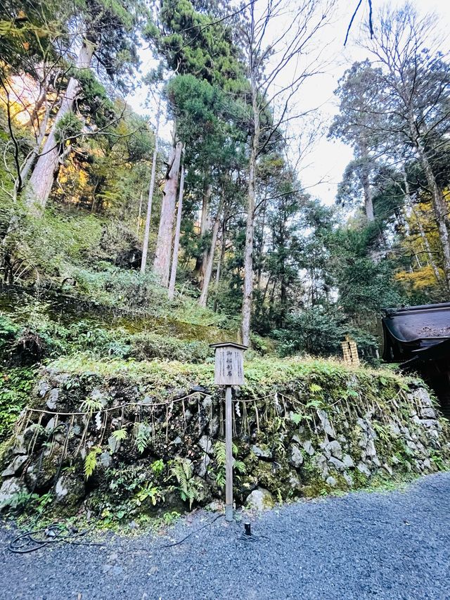 【京都府/貴船神社（奥宮）】龍穴のパワー渦巻く！