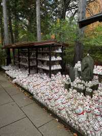 Visit the cat temple for good luck