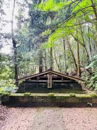 【島根県/玉作湯神社】2023年行ってよかった！島根県の神社①
