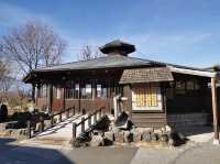 สวนวาซาบิใหญ่ที่สุดในโลก จ.นากาโนะ