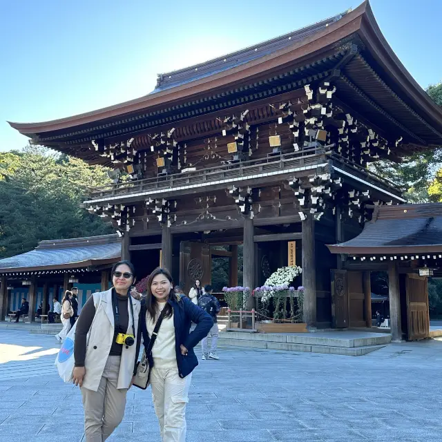 Meiji Shrine ⛩️🇯🇵