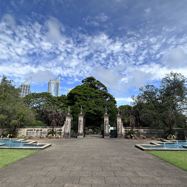 Beautiful Royal Botanic Garden in Sydney