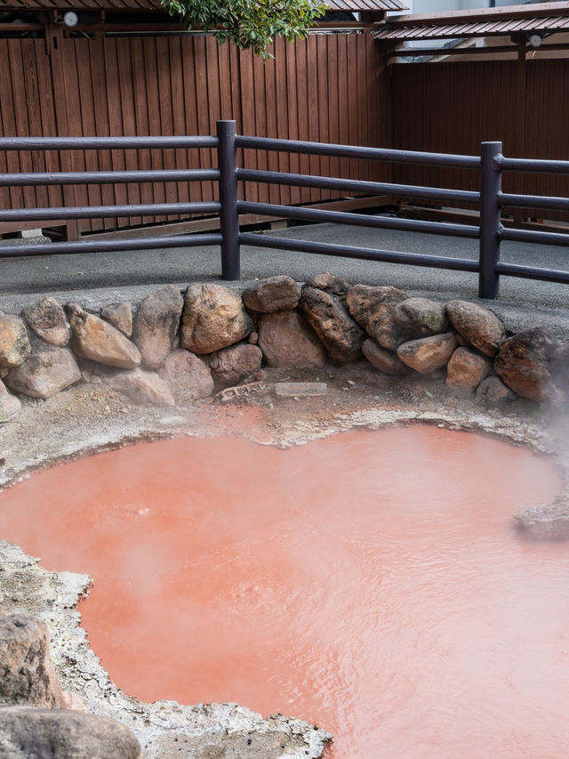 【大分県/別府市】旅好きのすすめる地獄温泉行くならここ