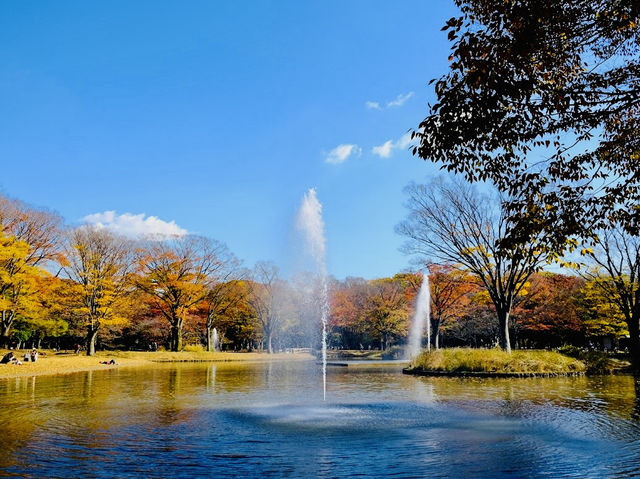 Yoyogi Park