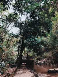 น้ำตกแจ้ซ้อน 💦⛰️🌳