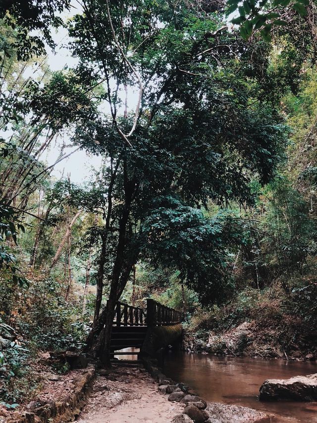 น้ำตกแจ้ซ้อน 💦⛰️🌳