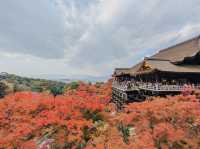 Kiyomizudera Temple in Autumn