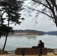 안동 도산서원, 선비정신과 국내자연의 아름다움을 느끼다