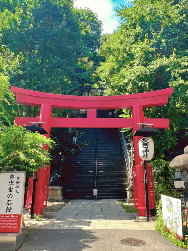【東京】出世神社の最高峰✨猫に会えたらラッキー🍀金運アップな愛宕神社⛩