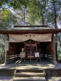 【春日部オススメ神社】　春日部八幡神社