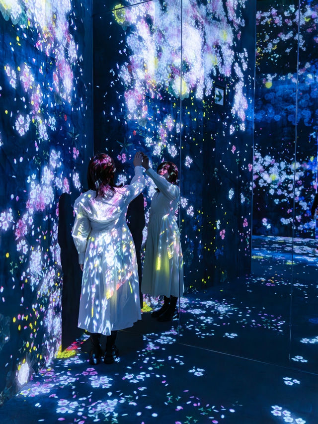 【東京都/麻布台】世界最新チームラボに行く前に確認するべきスポット