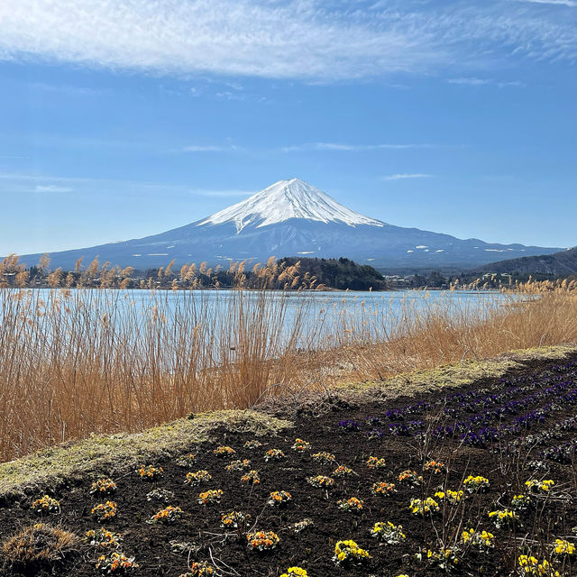 "Mount Fuji: A Lucky Day's Glimpse"