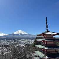 富士山！富士淺間神社！