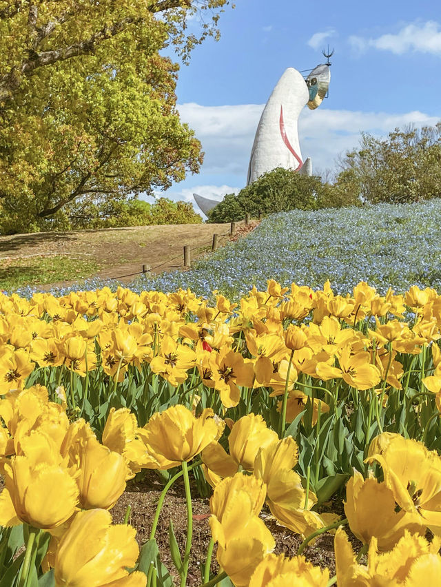 【大阪】春満開！！旬のお花が楽しめる公園