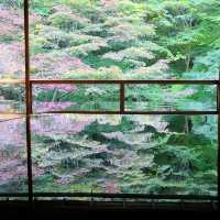 京都CMでも有名なスポット⭐瑠璃光院⭐