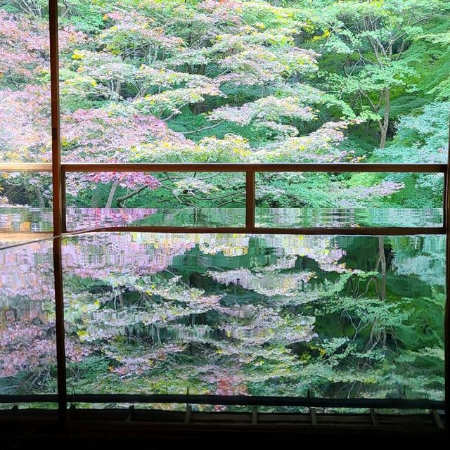 京都CMでも有名なスポット⭐瑠璃光院⭐