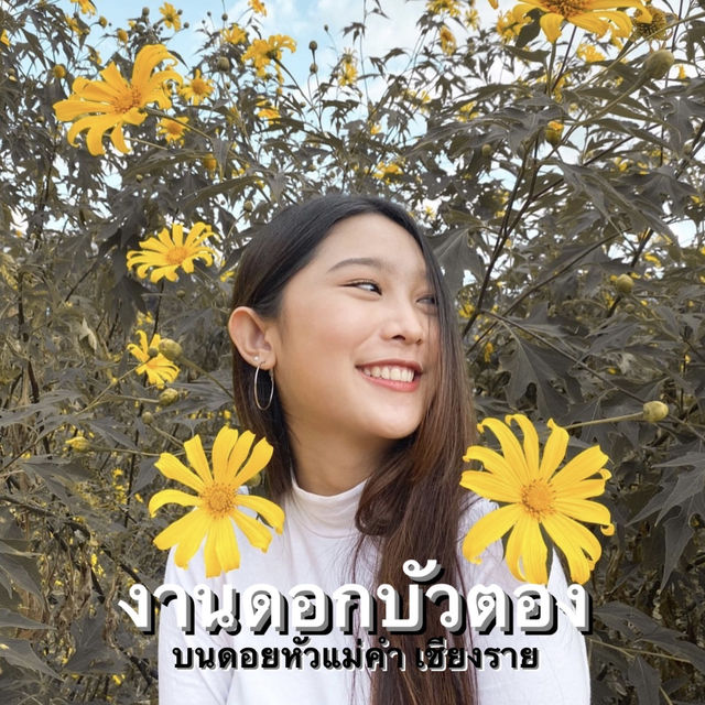 งานดอกบัวตองงงง ไม่ต้องไปถึงที่แม่ฮ่องสอน🌻