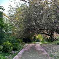 City park in Nottingham, Arboretum