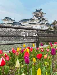 【富山】周りに咲く季節の花が素敵なお城