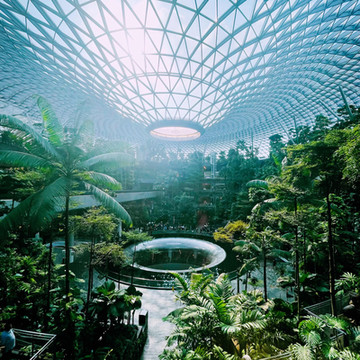 シンガポール🇸🇬/ガラス張りの天井から落ちてくる大きな滝&トロピカル