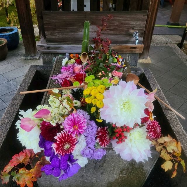 【京都】東福寺近くの穴場映えスポット⭐勝林寺⭐