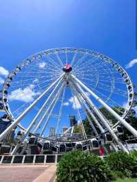 The Wheel of Brisbane