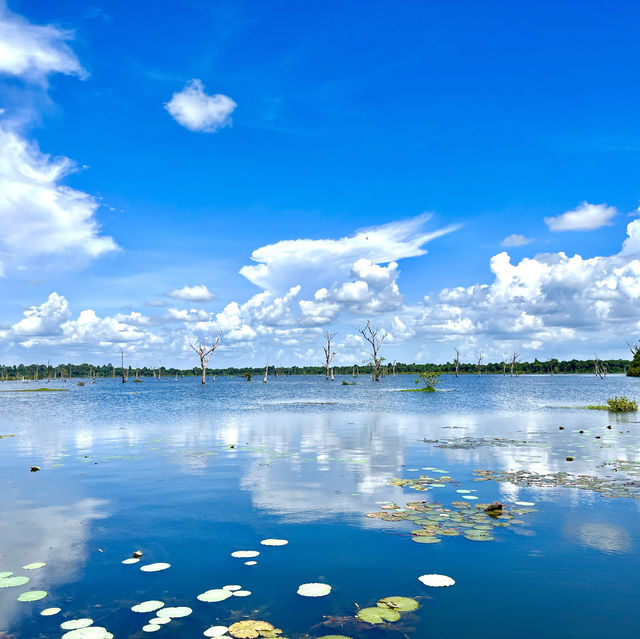 🌟 Mastering the small and grand circuits of Siem Reap🌟