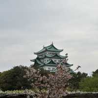 Flowering season at Nagoya 