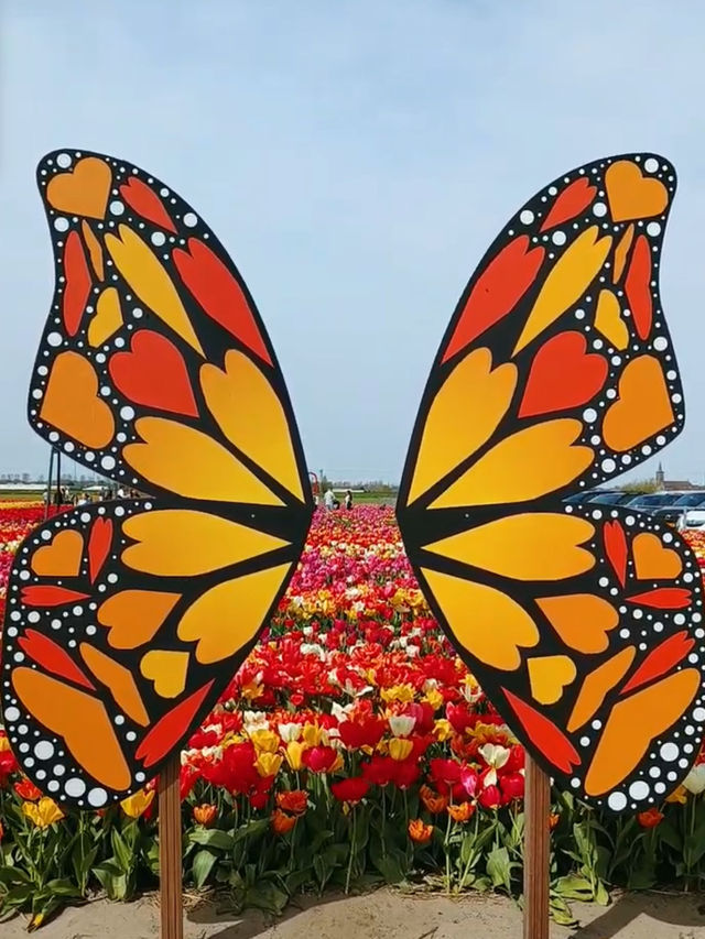 The Tulip Barn