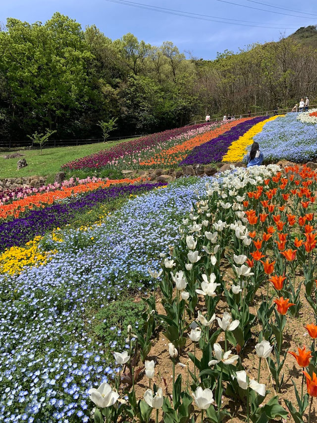 Hinoyama Park