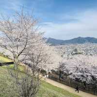 新倉富士淺間神社