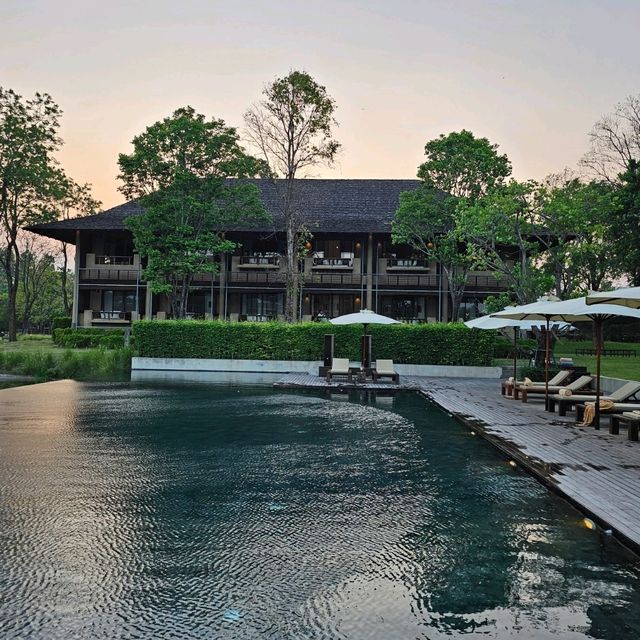 พาน้องหมานอนคีรีมายา เขาใหญ่ ดีมาก