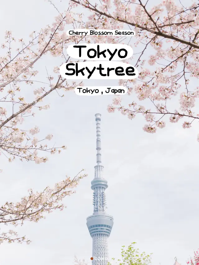 ‘Tokyo Skytree’ ในช่วงซากุระบาน 🌸🏙️