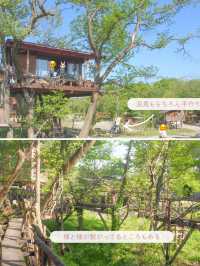【栃木/那須】一度は泊まってみたいツリーハウス🌲