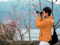  ที่พัก ชิงจิ้ง MountainTraveler ใต้หวัน 