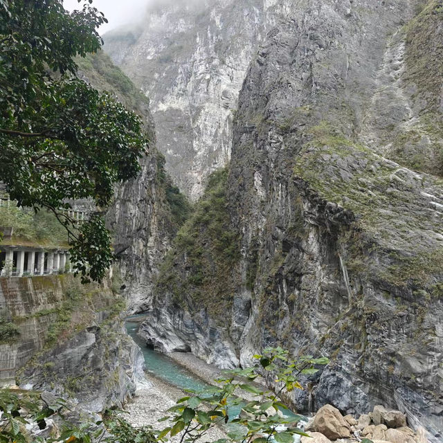 佘山國家森林公園：青翠山水畫捲