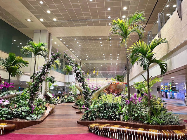 Shanghai Pudong Airport เซี่ยงไฮ้, จีน
