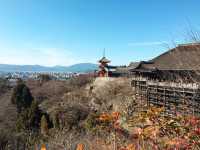 Exploring The Beauty of Kyoto, Japan 🇯🇵