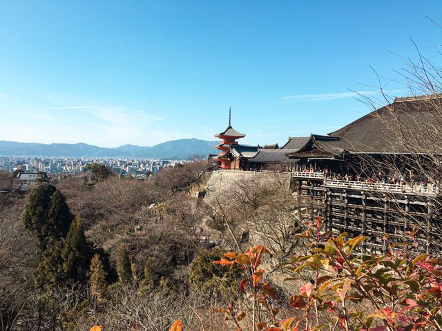 Exploring The Beauty of Kyoto, Japan 🇯🇵