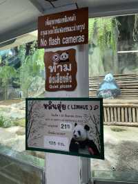 ไปดูสัตว์ที่สวนสัตว์เชียงใหม่