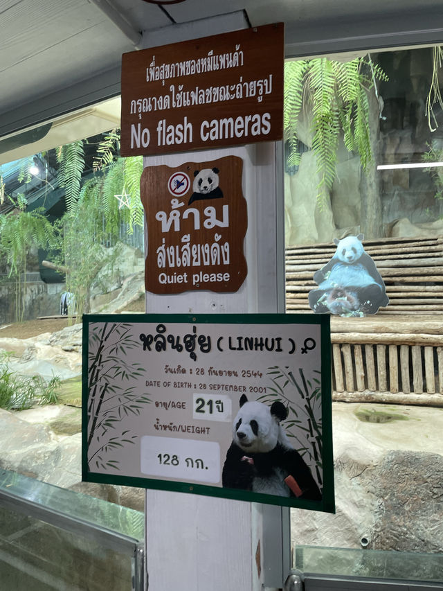 ไปดูสัตว์ที่สวนสัตว์เชียงใหม่