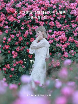 【關東】玫瑰季必去景點